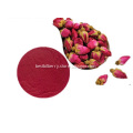 /msite/products/detail/productid/58640767/id/684075.html